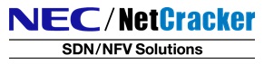 NetCracker Technology