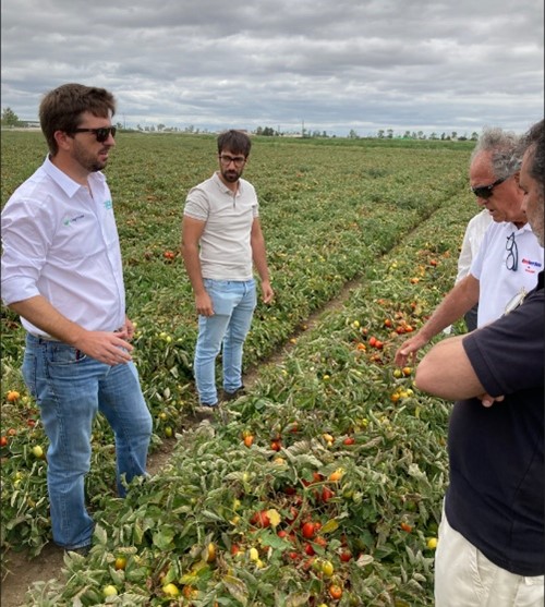 A large-scale farm in Portugal and a skilled agronomist (left foreground)